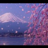 程杰读书