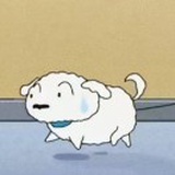 月亮很亮
