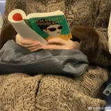 鲜海