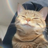 昵称