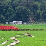 没想好叫啥