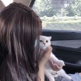 没有答案