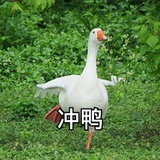 宇宙中的喇叭精