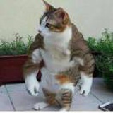 吉里吉里里