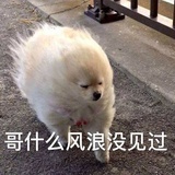 等烟雨