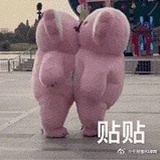 嗑cp罢了