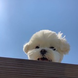 爱喜欢谁喜欢谁