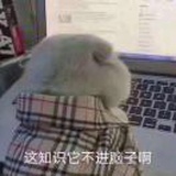 紫气东来暖阳阳