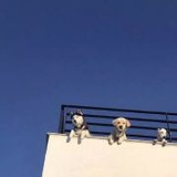 波子汽水b