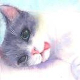 玖溪