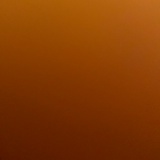 小尼