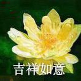 汉萍