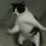 少寡我