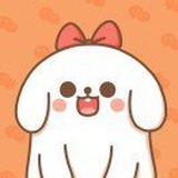 散客君
