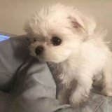 我会发达的