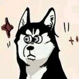 可以叫我小财迷