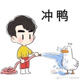 记忆羽毛