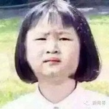 明朝依旧抱琴来