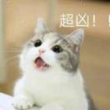 言色支棱起来