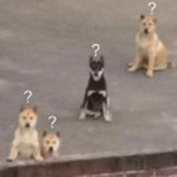 来日方长
