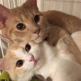 磕磕磕碰碰撞撞