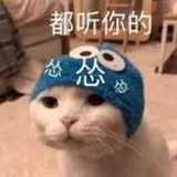 大老师