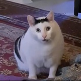 sssss