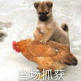 不知道π_π
