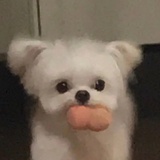 小罐儿