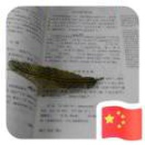 天上白玉京
