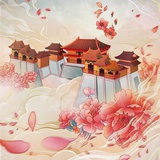 nini盒子