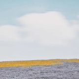 书读