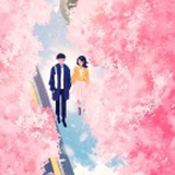 葵若