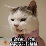 豆友227061006