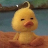 是你的大憨憨吖