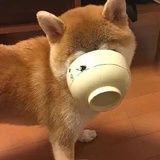 人参麦冬五味子