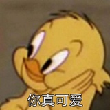 每天爱你多一点