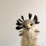 干饭人