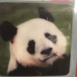 Didi