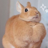 小云子