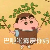 豆本豆