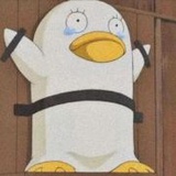 鸭架