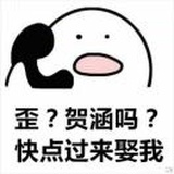 小罗先生