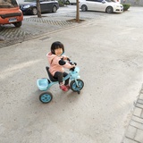 雁渡寒潭
