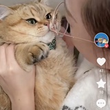 豆友227176188