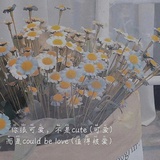 豆友227190813