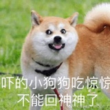 我爱上班