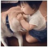 小波流