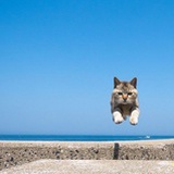饭后散个步