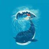 我有一只猫